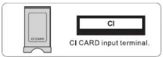 CI CARD CI CI CARD input terminal.