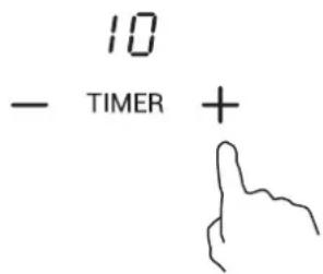 - 10 TIMER +