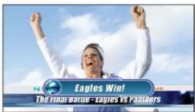 Eagles Win! The Final Battle - Eagles vs Panthers