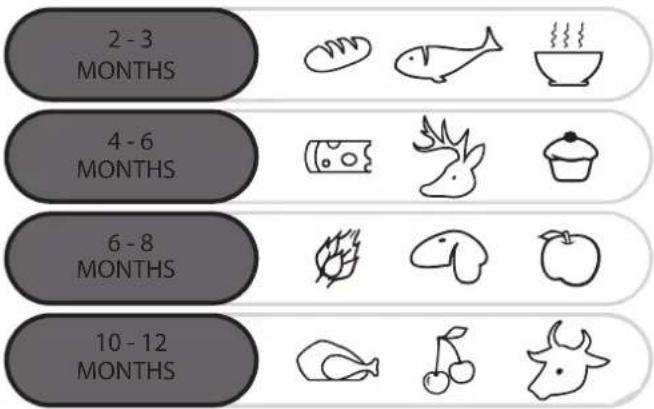 2 - 3 MONTHS 4 - 6 MONTHS 6 - 8 MONTHS 10 - 12 MONTHS