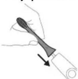 PHILIPS Sonicare 6100 HX7408 - Harjapea kinnitamine - 1