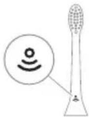 PHILIPS Sonicare 6100 HX7408 - BrushSync-Technologie - 1