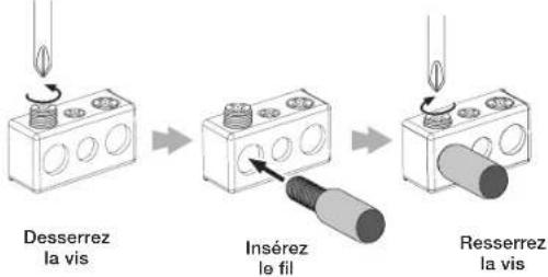 Desserrez la vis Insérez le fil Resserrez la vis