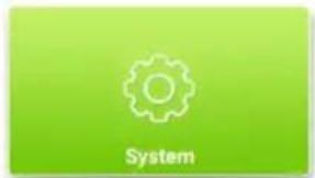 System