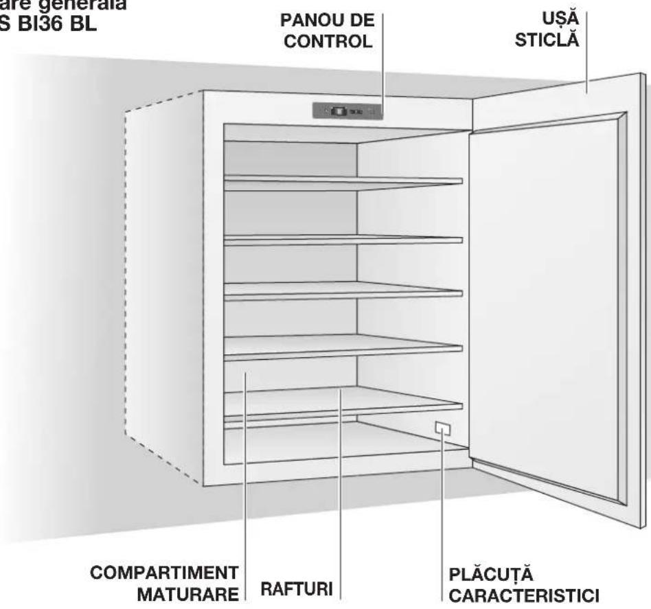 are generala S BI36 BL PANOU DE CONTROL UȘA STICLĂ COMPARTIMENT MATURARE RAFTURI PLĂCUȚĂ CARACTERISTICI
