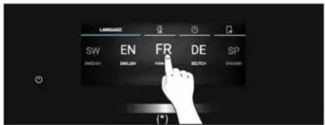 IDIOMA SV EN FR DE ES SUECO INGLÉS FRANCÉS ALEMÁN ESPAÑOL (*)