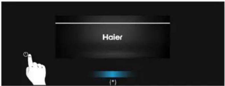 Haier (*)