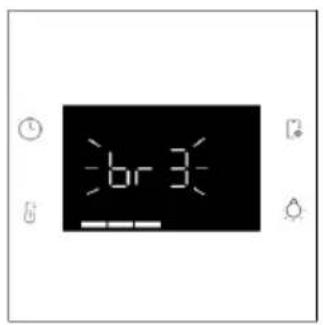 br 3