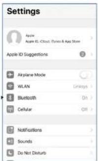 Settings. Apple. Apple ID: iCloud/iTunes & App Store. Apple ID Suggestions. Airplane Mode. WLAN. Bluetooth. Cellular. Notifications. Sounds. Do Not Disturb.