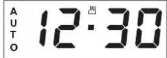 AUTO 12:30