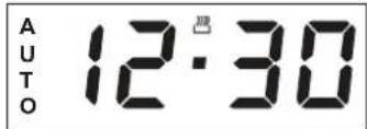 AUTO 12:30