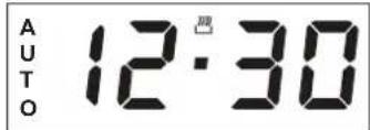 AUTO 12:30