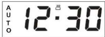 AUTO 12:30