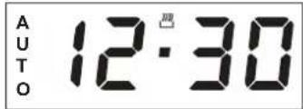 AUTO 12:30