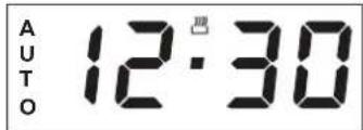 AUTO 12:30