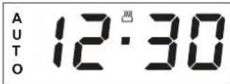AUTO 12:30