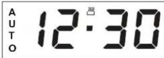 AUTO 12:30