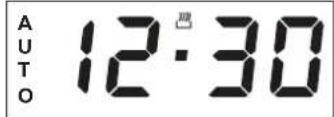 AUTO 12:30