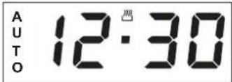 AUTO 12:30