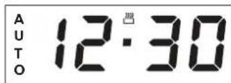 AUTO 12:30