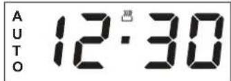 AUTO 12:30