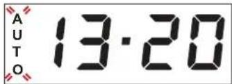 AUTO 13:20