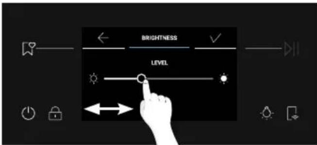 BRIGHTNESS LEVEL