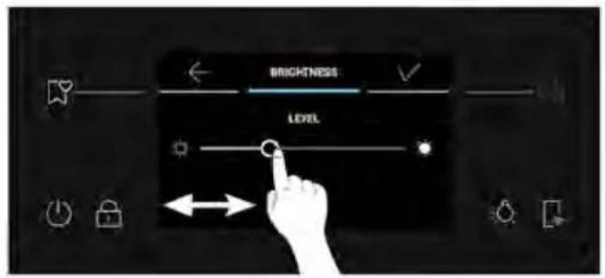BRIGHTNESS LEVEL