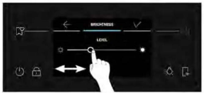 BRIGHTNESS LEVEL