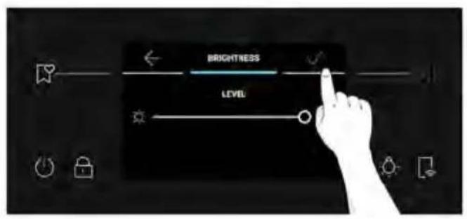 BRIGHTNESS LEVEL