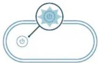 Simple diagram with a star-shaped button and a power symbol inside an oval shape (no text or labels)