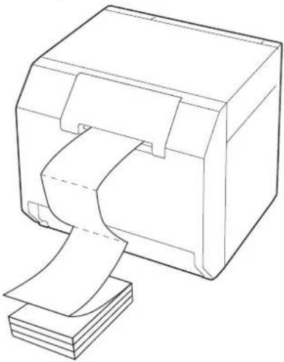 EPSON CW-C4000e - Loading and Replacing Paper - 2
