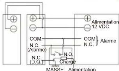 Alimentation 12 VDC COM- N.C. (Alarme) N.C. (D.O.) N.O. Charge MASSE Alimentation COM. N.C. } Alarme