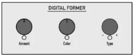 DIGITAL FORMER Amount Color Type