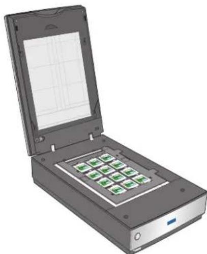 Illustration of a handheld scanner with green indicator lights on its screen (no text or symbols visible)
