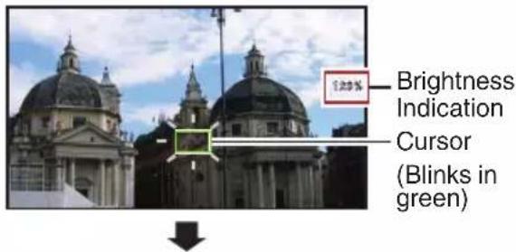 Brightness Indication Cursor (Blinks in green)