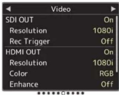 Video SDI OUT On Resolution 1080i Rec Trigger Off HDMI OUT On Resolution 1080i Color RGB Enhance Off