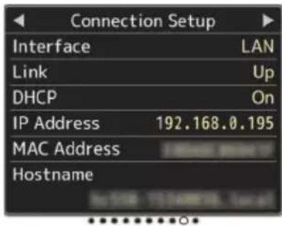Connection Setup Interface LAN Link Up DHCP On IP Address 192.168.0.195 MAC Address Hostname