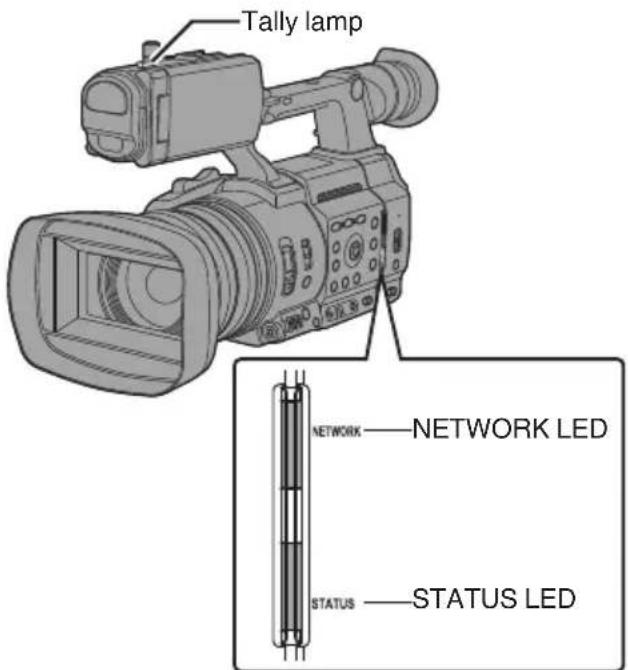 Tally lamp NETWORK — NETWORK LED STATUS — STATUS LED