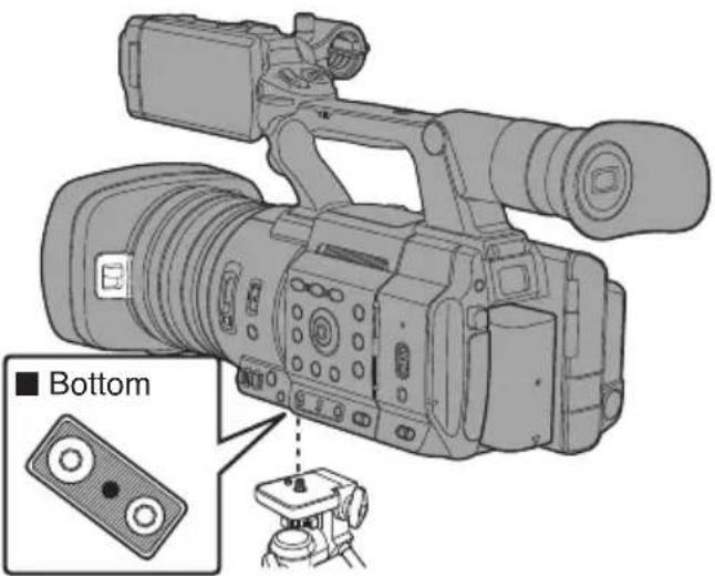 Bottom