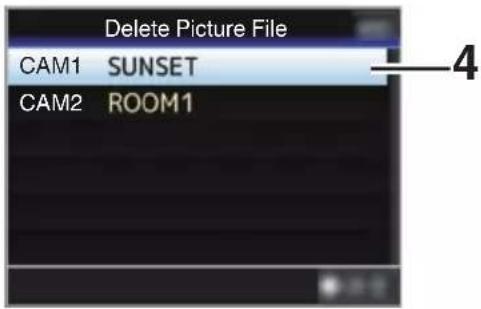 Delete Picture File CAM1 SUNSET CAM2 ROOM1