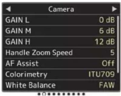 Camera GAIN L 0 dB GAIN M 6 dB GAIN H 12 dB Handle Zoom Speed 5 AF Assist Off Colorimetry ITU709 White Balance FAW