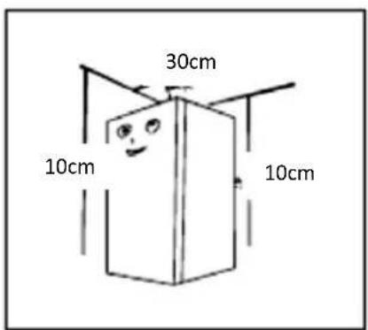 30cm, 10cm, 10cm