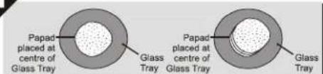 Papad placé au centre du plateau en verre Plateau en verre Papad placé au centre du plateau en verre Plateau en verre