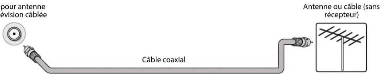Pour antenne ou télévision câblée, câble coaxial, antenne ou câble (sans récepteur)