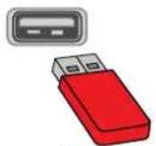 INSIGNIA NS-24F201NA23 - Connexion d'une clé USB flash - 1