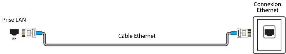 Prise LAN, LAN, câble Ethernet, connexion Ethernet