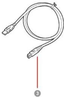 Illustration of a flexible network cable with two connectors and a red vertical line indicating a connection point (no text or symbols present).