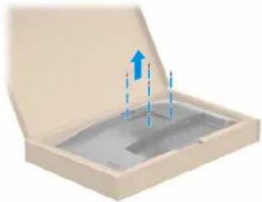 Open beige box with blue upward arrow and dashed lines indicating vertical motion (no text or symbols).