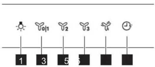 1 3 5 6 7 8